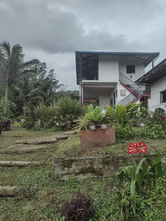 una casa con delle piante davanti di Finca exclusividad familiar o grupo de amigos capacidad hasta 12 personas calles en placa huella, caminata ecológica a Albán