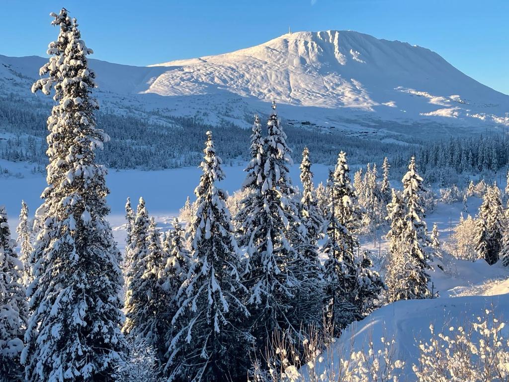 una montaña cubierta de nieve a lo lejos con árboles nevados en Cabin with a great view at Gaustablikk, en Gaustablikk