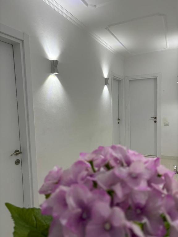 Center, Selvia White Apartment - Imazhi 9