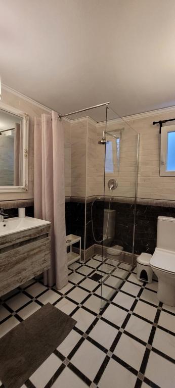 A bathroom at Apartamento Milka Gandia Marchuquera