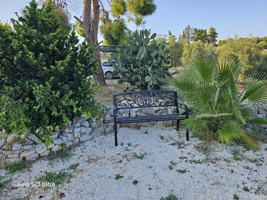 a bench sitting in the middle of some plants at Azienda Agricola Gentile - la casa degli ulivi in Vieste