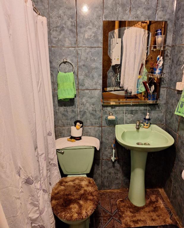 baño con aseo verde y lavamanos en Casa Pauly, en Llanquihue