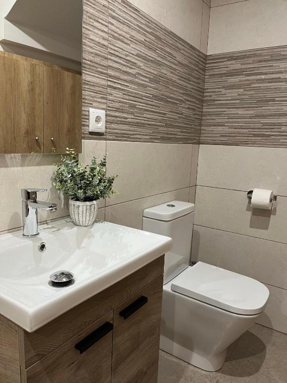 A bathroom at Apartamentos La Flor