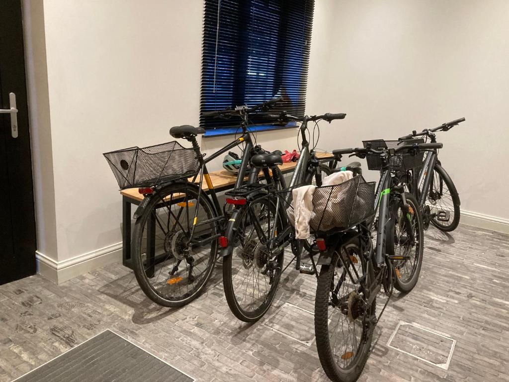 Ciclismo em Vakantiehuis En Passant ou nos arredores