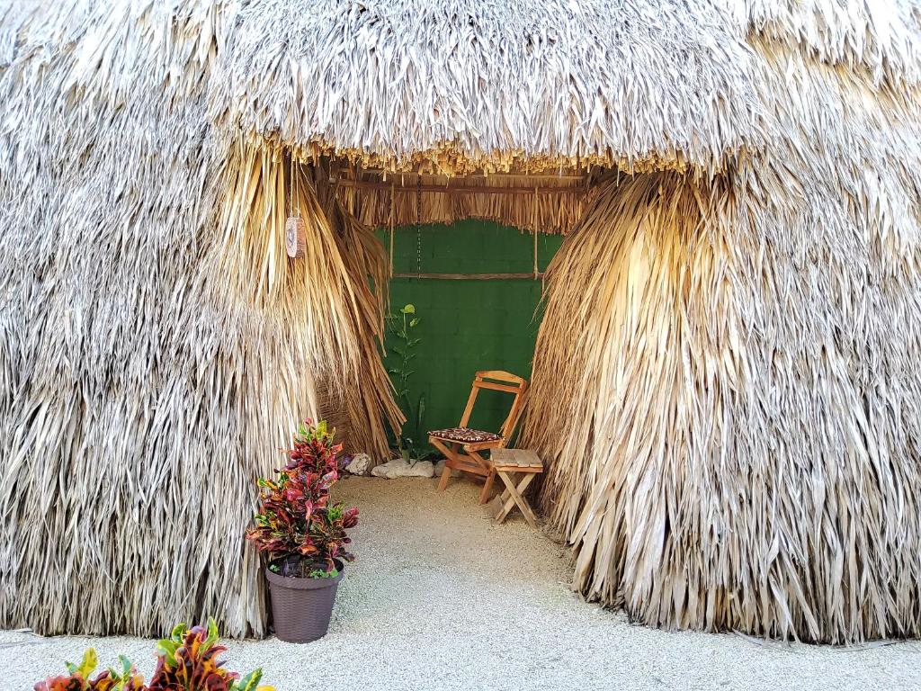 Fotografie z fotogalerie ubytování Hakuna Matata Glamping v destinaci Bacalar