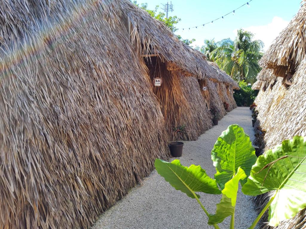 Fotografie z fotogalerie ubytování Hakuna Matata Glamping v destinaci Bacalar