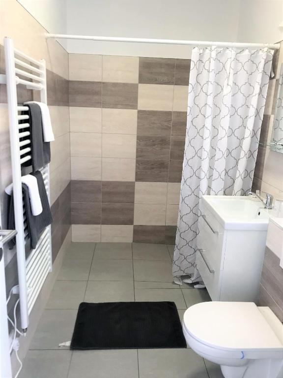 łazienka z toaletą, umywalką i prysznicem w obiekcie Modrý apartmán 2 - studio w Znojmie