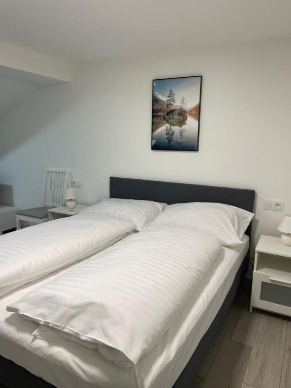 Apartman في خيب: سرير بملاءات بيضاء وصورة على الحائط