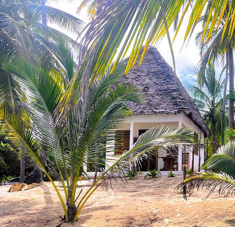 a house with a palm tree in front of it at Jumamosi Beach Villa in Ushongo Mabaoni