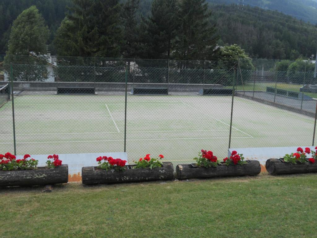 Tenis a/nebo squash v ubytování Casa Chigi nebo okolí