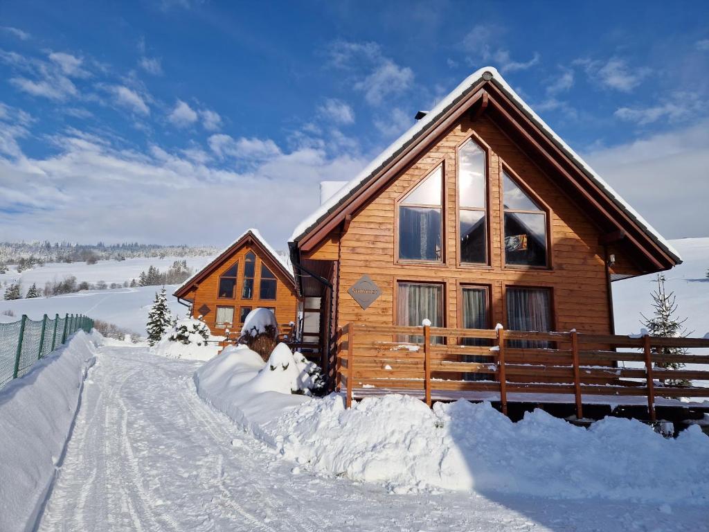 domek z bali na śniegu i wokół niego śnieg w obiekcie Winter & Summer - Chalets w Zdziarze