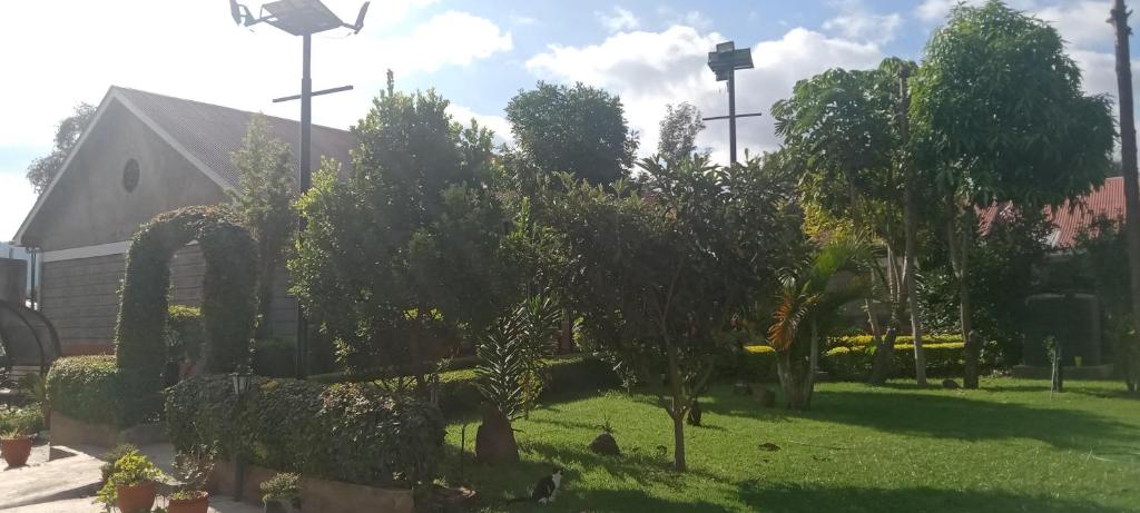 Dole Gardens Naivasha في نيفاشا: حديقة فيها اشجار وعبارة في ساحة