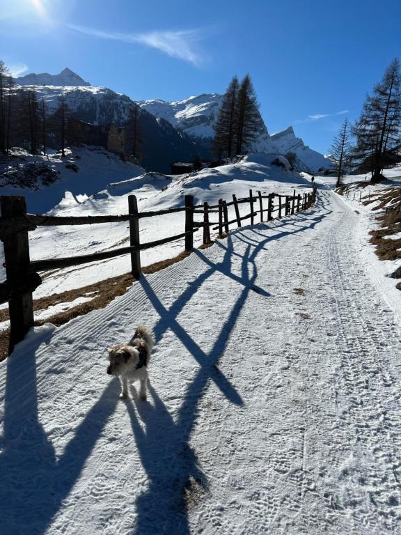 Fotografie z fotogalerie ubytování Hotel Piz Tambo v destinaci Splügen