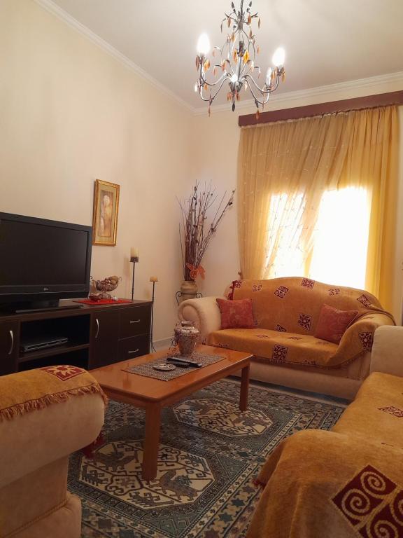 uma sala de estar com um sofá e uma televisão em Antonioy Apartment Metewra em Kalabaka