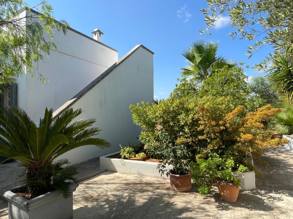 Zahrada ubytování Villa Gioia Ostuni