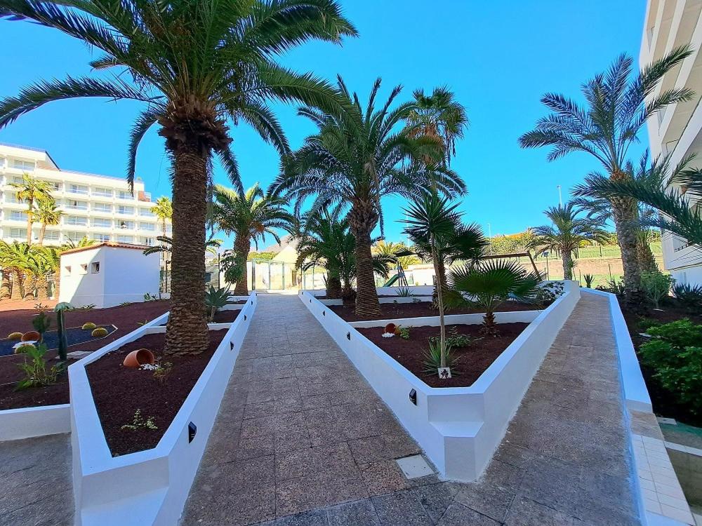 Zahrada ubytování Ocean View Penthouse