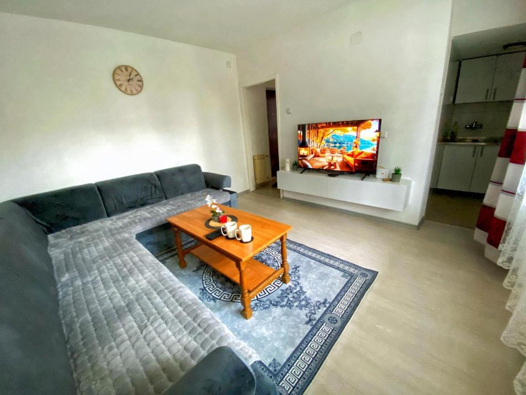 a living room with a couch and a table and a tv at Stan na dan Hasanovic in Tuzla
