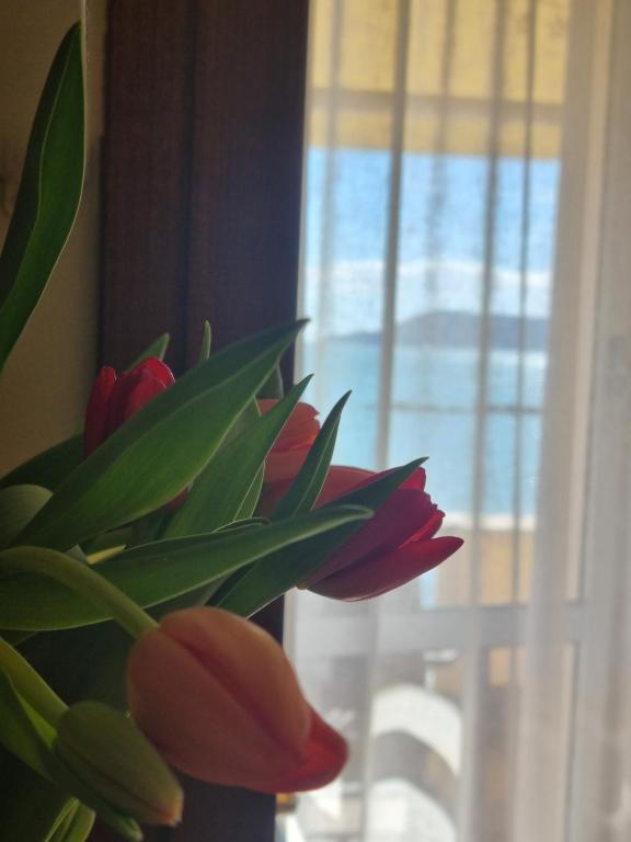 a vase filled with red tulips next to a window at Hotel Florida Lerici in Lerici