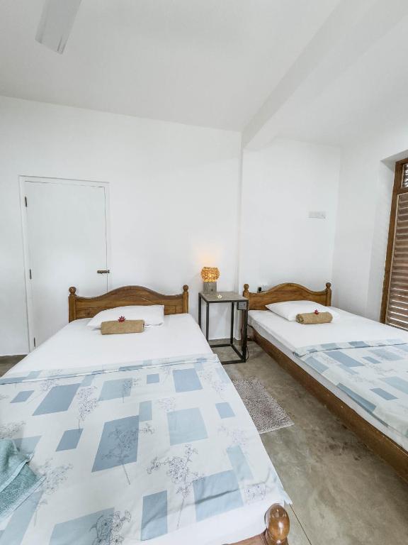 Alice in Paradise - 19