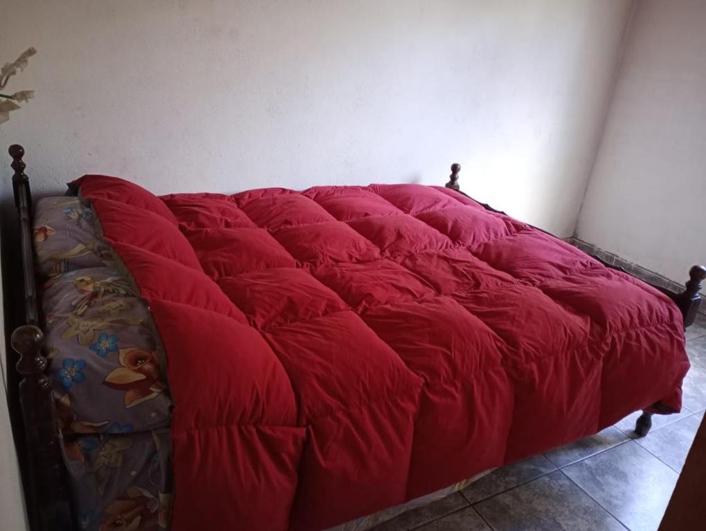 um edredão vermelho numa cama num quarto em Malegus em Epuyén