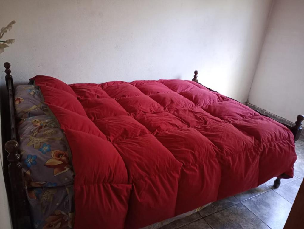 a red comforter on a bed in a room at Malegus in Epuyén