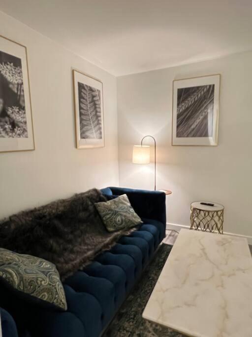 Classy single family house, walk to St Boniface في وينيبيغ: غرفة معيشة مع أريكة زرقاء في غرفة