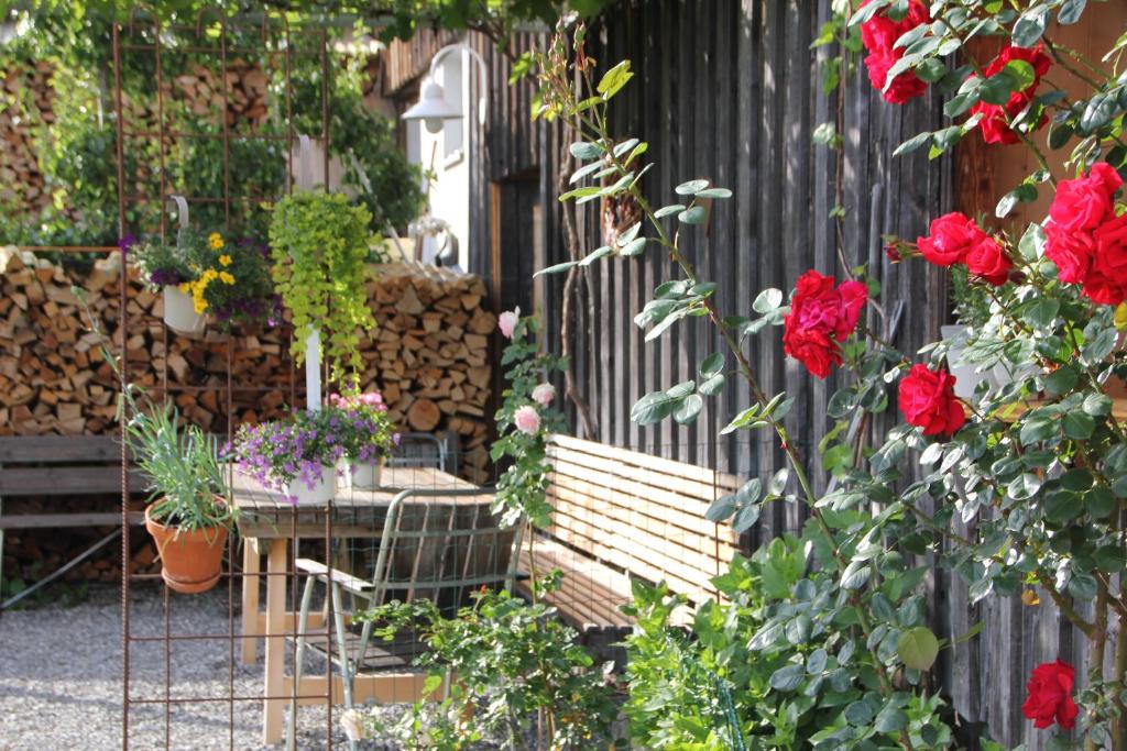 a garden with a bench and red roses at Bio Ferienbauernhof Greber in Schwarzenberg