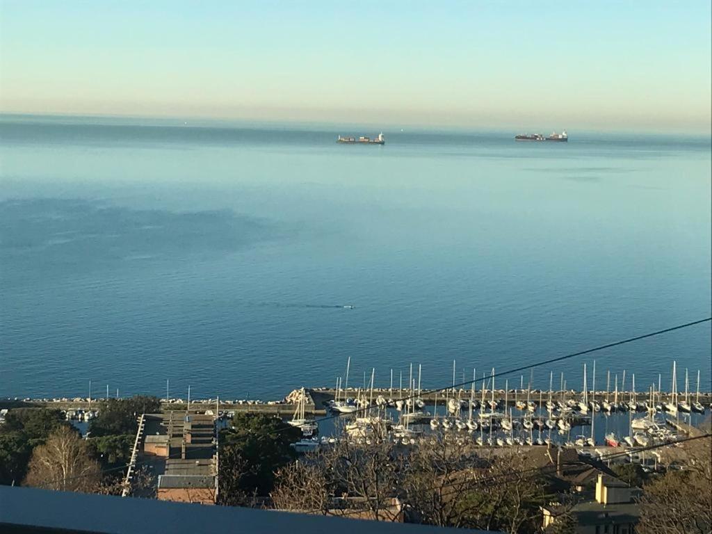 vistas a un puerto deportivo con barcos en el agua en Trieste Sea Life, en Trieste