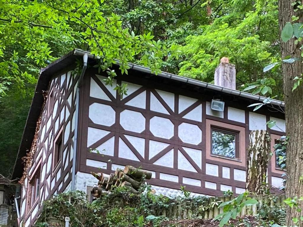 a cabin in the woods with a tree at Großes Waldhaus St Martin mit Sauna, Kamin & Natur in Sankt Martin