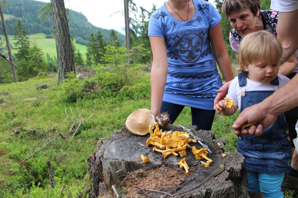 Hosté ubytování Gasthof Kirchmoar