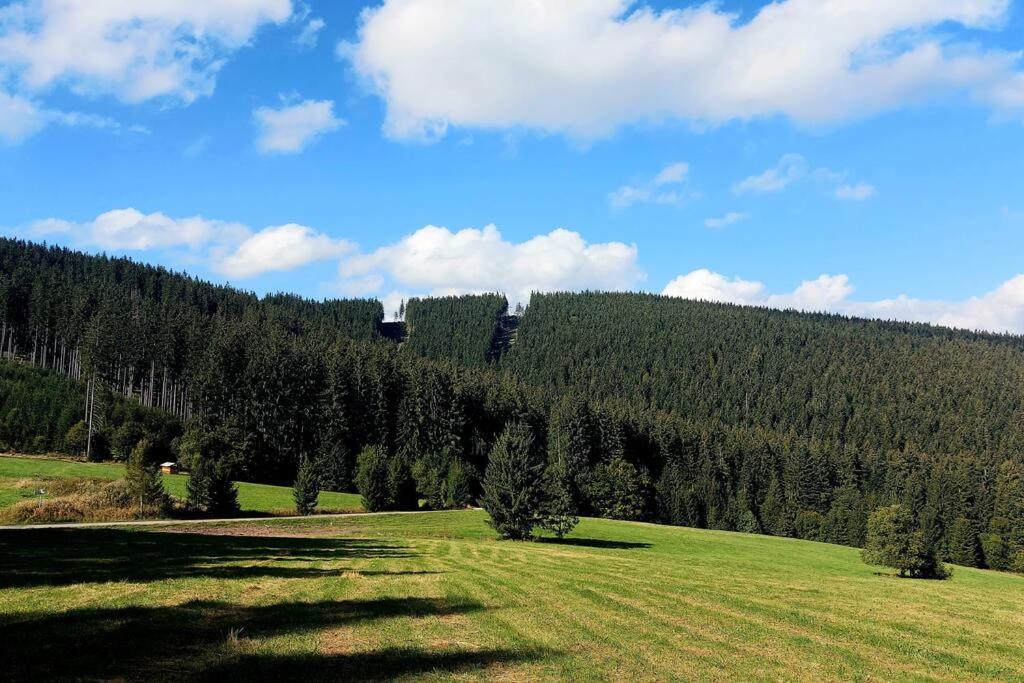 Příroda nedaleko apartmánu