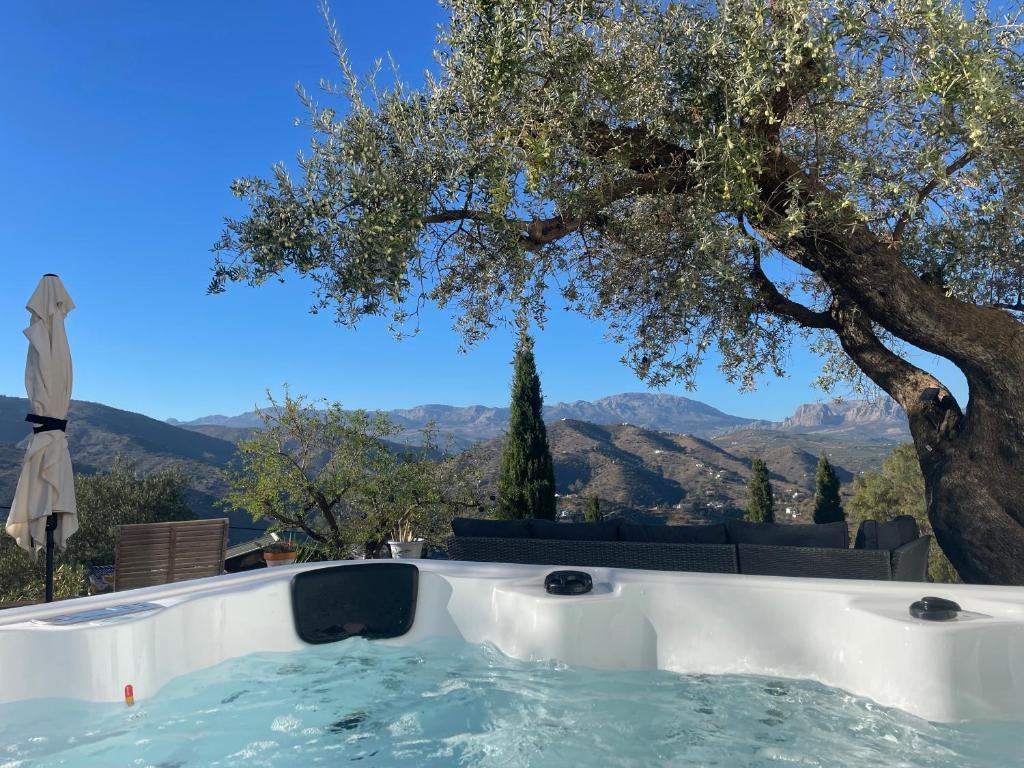 una vasca idromassaggio con un albero e montagne sullo sfondo di Casa Almendro a Comares