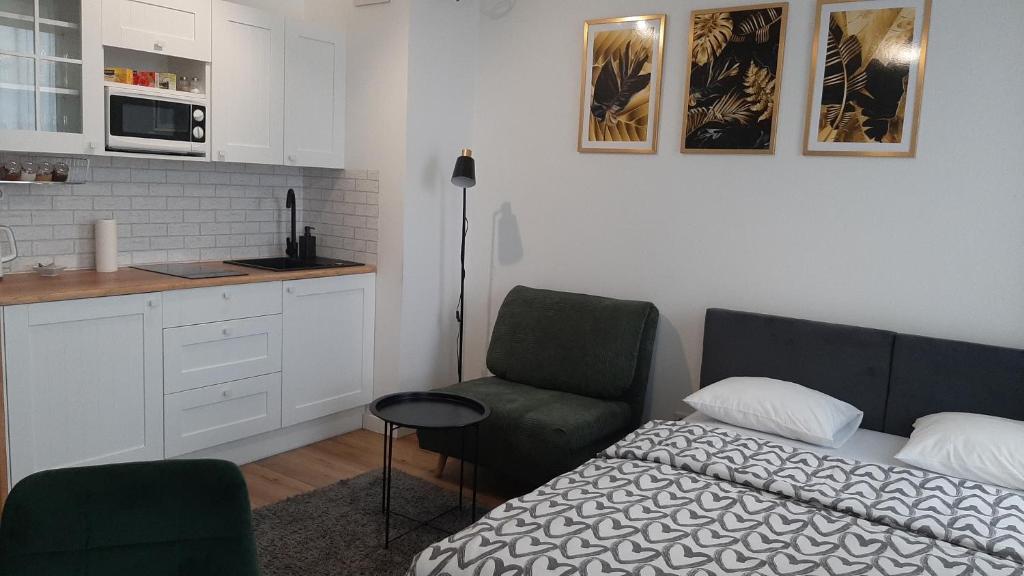 Apartament Venus - 2