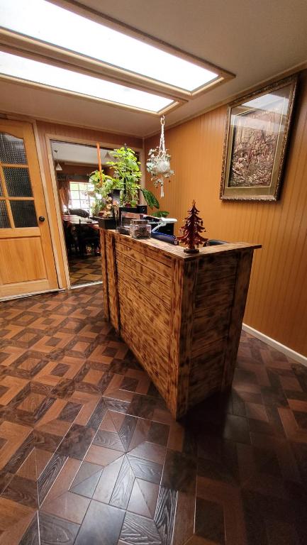 a kitchen with a counter with plants on it at Hostal Turismo El Campesino in Puerto Natales