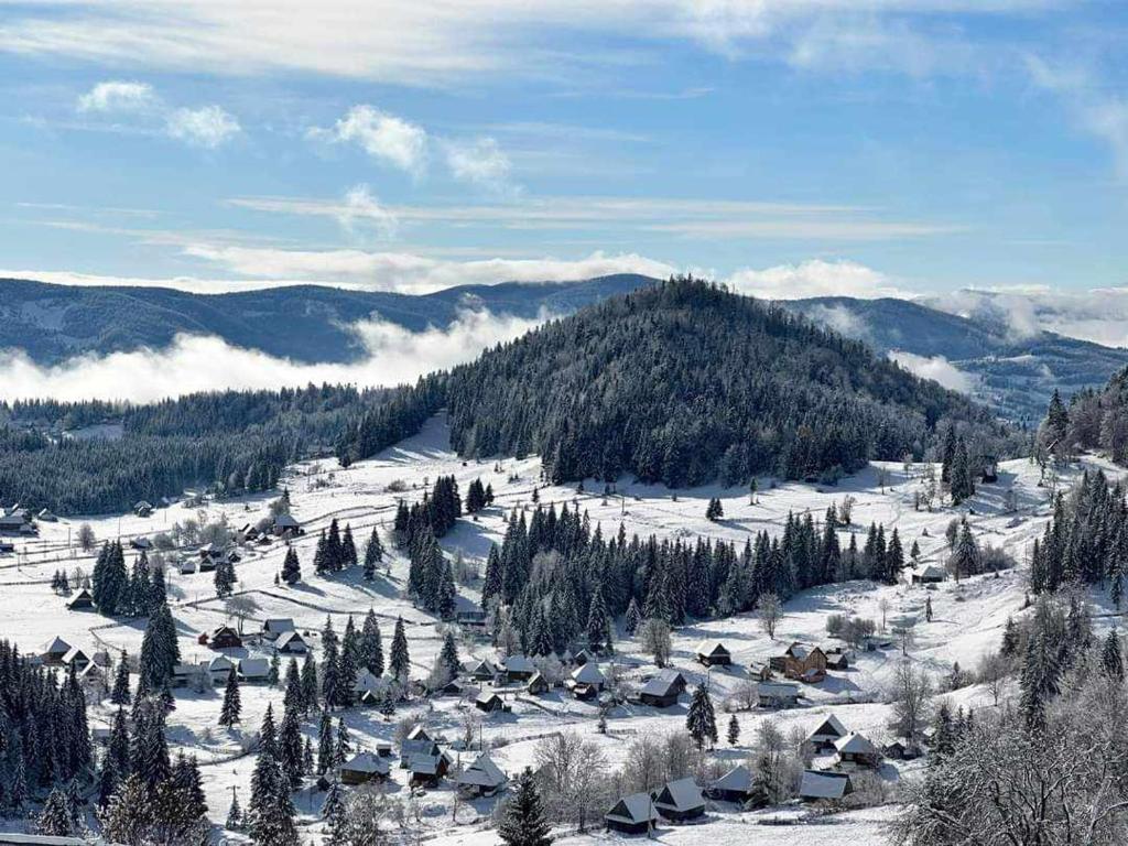 L'établissement Cabana Colț De Munte en hiver