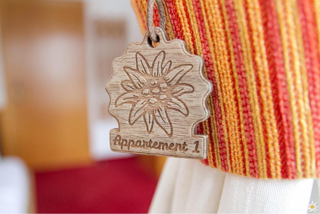 Fotografie z fotogalerie ubytování Apart Prieth Samnaun v destinaci Samnaun