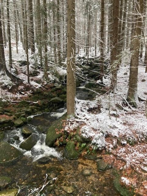 Przyroda w pobliżu tej kwatery prywatnej