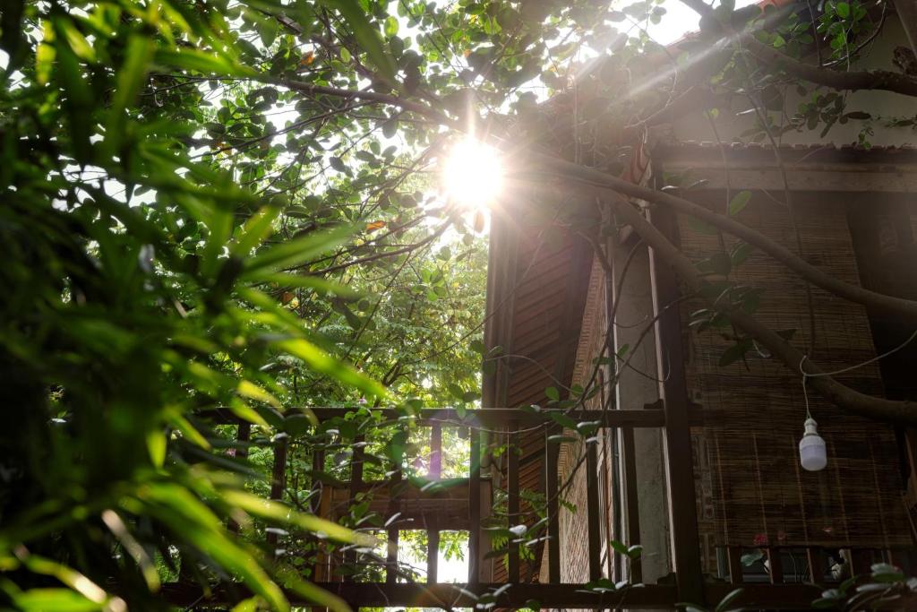 Zahrada ubytování LittleTamCoc Boutique Villa Ninh Binh