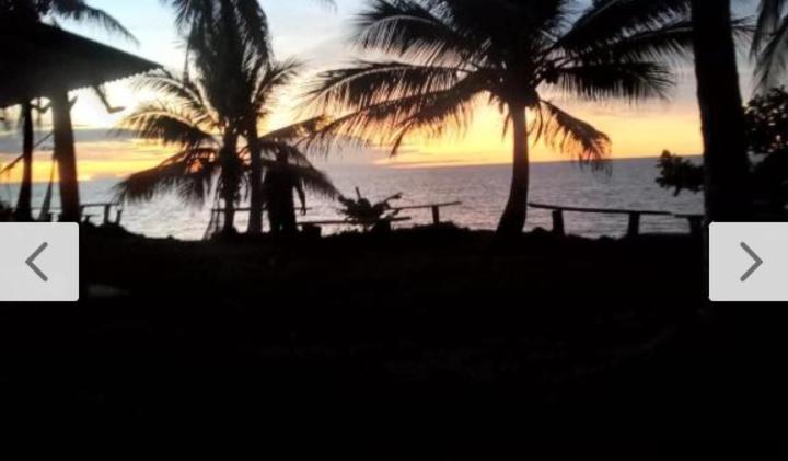 two palm trees on a beach with a sunset at Cabañas el paisa tours in Arboletes