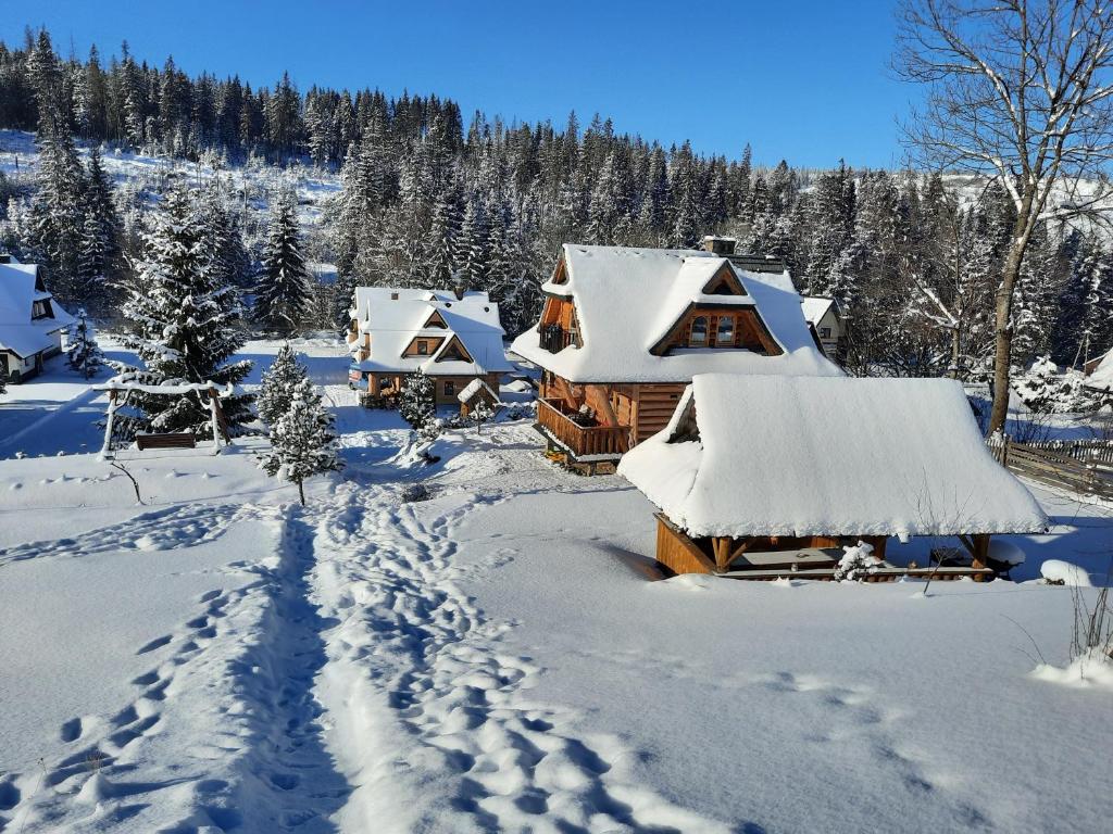 a snow covered cabin with footprints in the snow at Domek Kojsówka in Witów