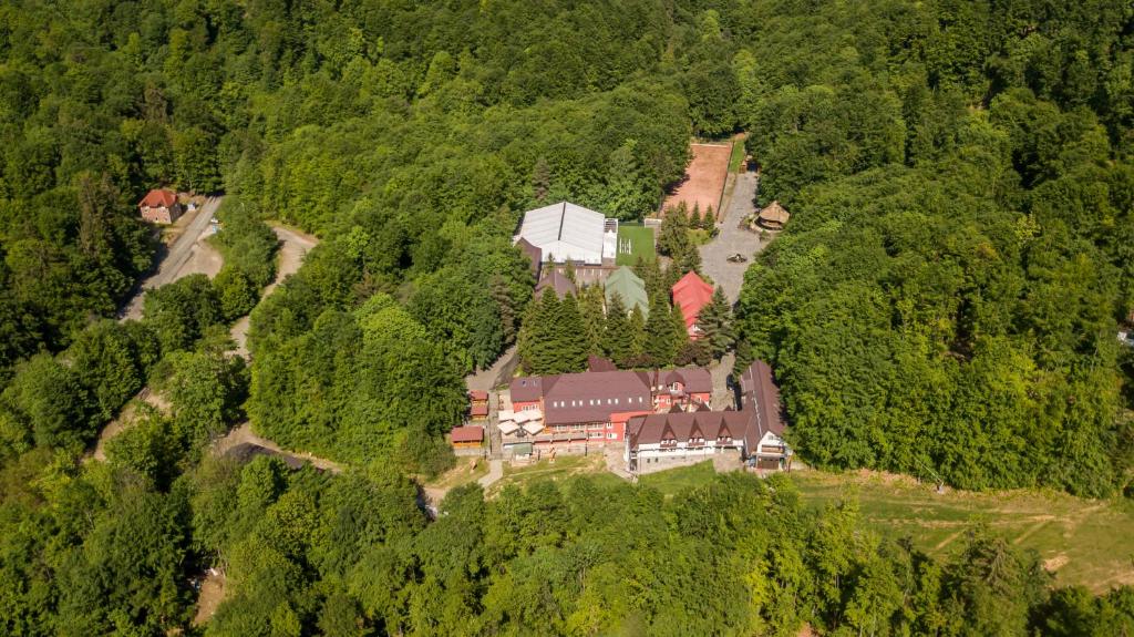 an aerial view of a house in the middle of a forest at Suior Resort Baza in Baia-Sprie