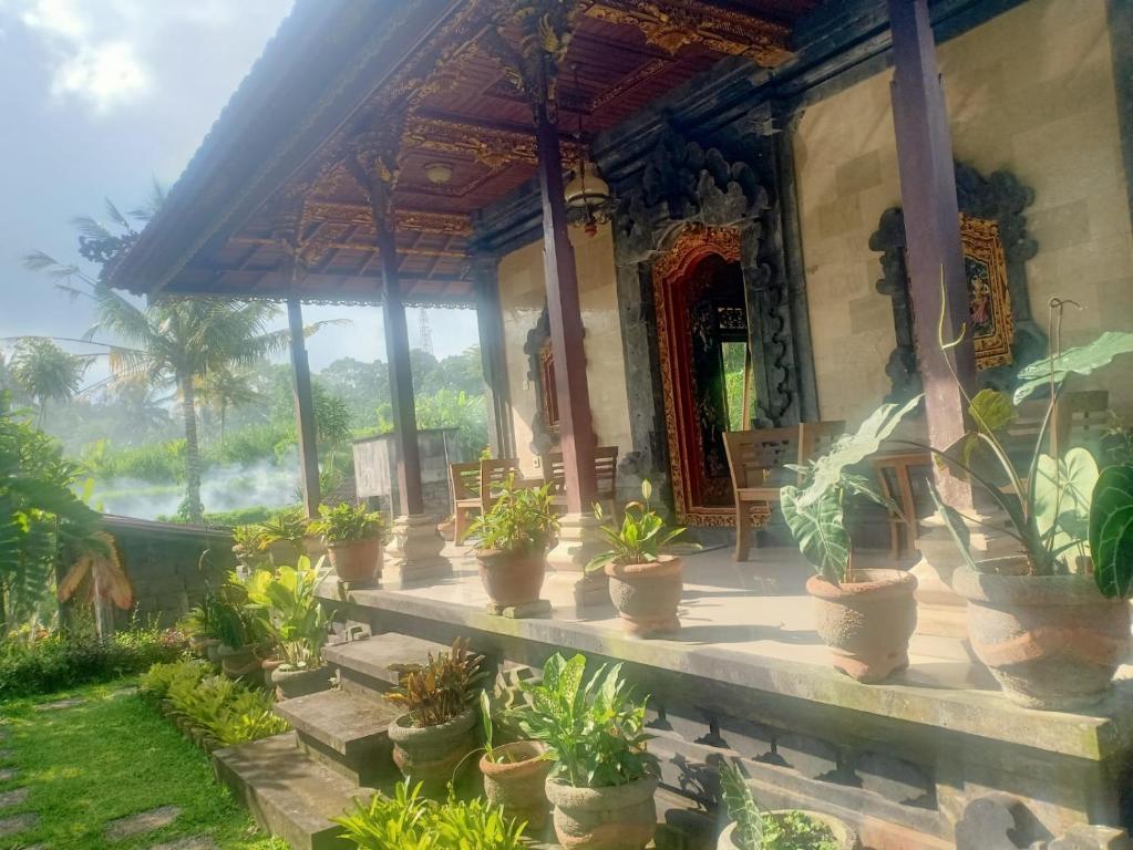Puri Agung Inn - Family Room With Garden View
