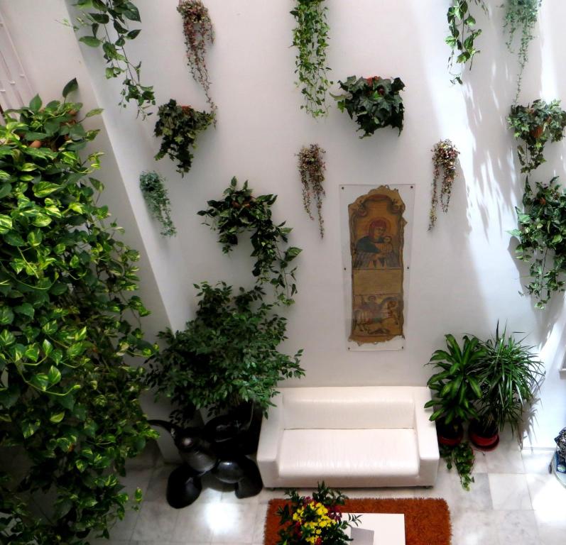 Un Patio al Sur - Resim 43