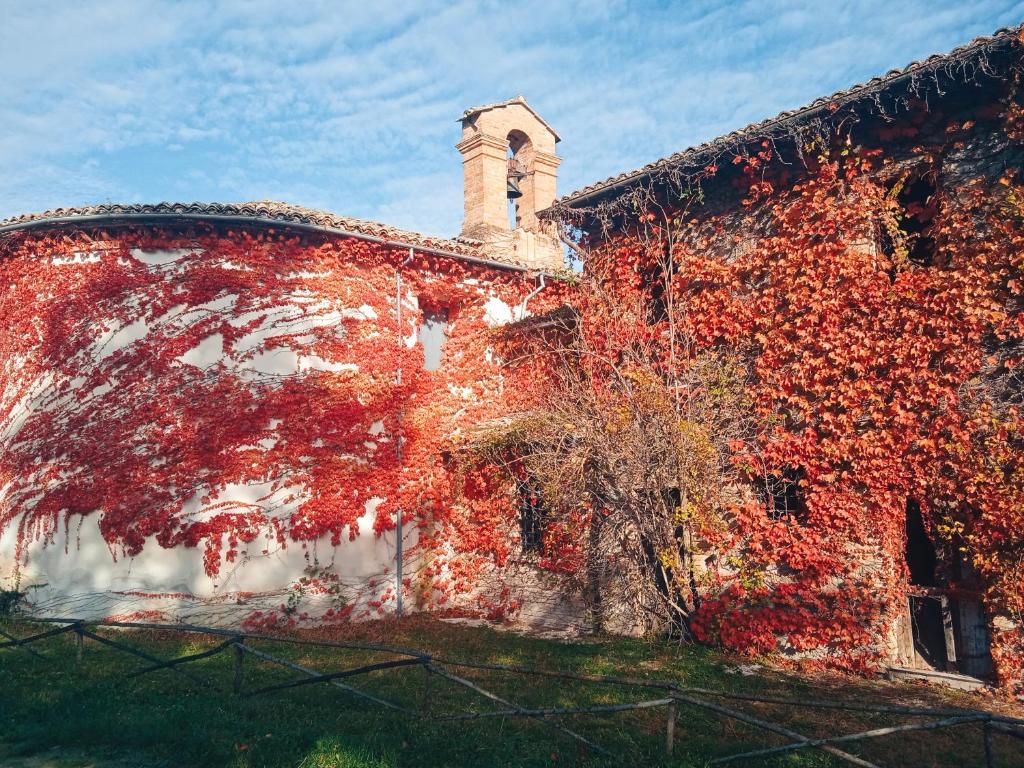 Castello di Baccaresca photo