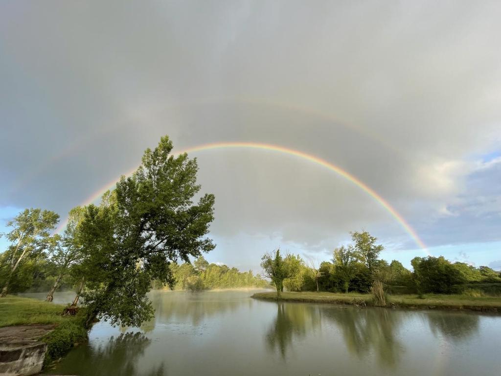un arco iris sobre un río con un árbol en primer plano en Le panoramique du lac d'isachris, en Queyrac