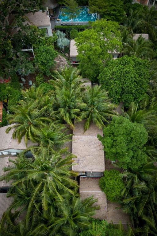 Phòng Vườn Nhiệt Đới 2 Giường Đơn - Làng Nhiệt Đới