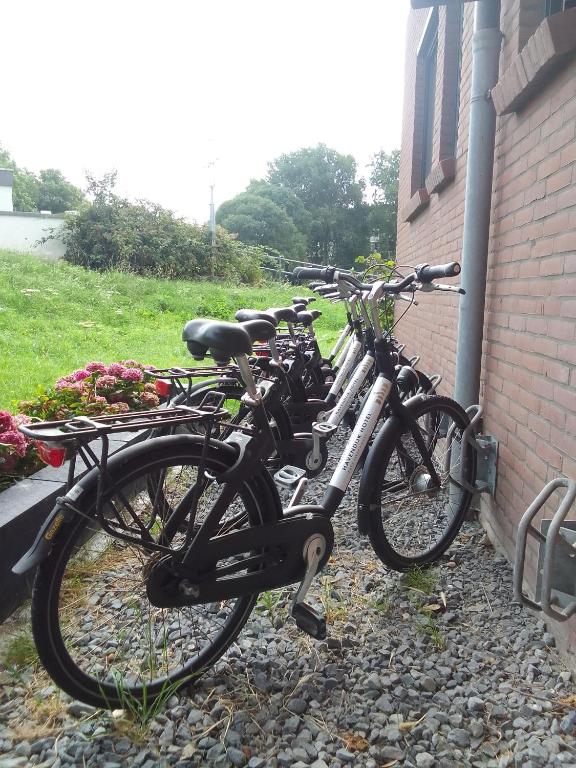 Jízda na kole v ubytování Havendijk Hotel nebo okolí