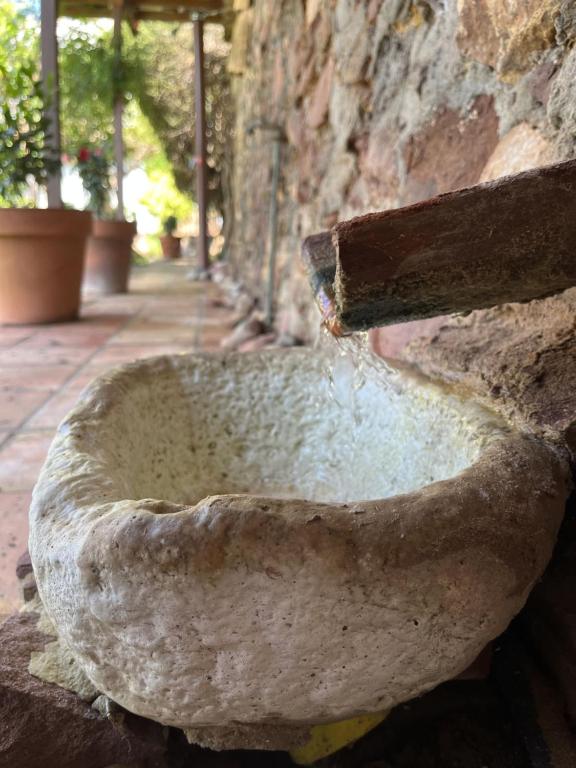 Fotografie z fotogalerie ubytování El Secanet v destinaci Algimia de Alfara
