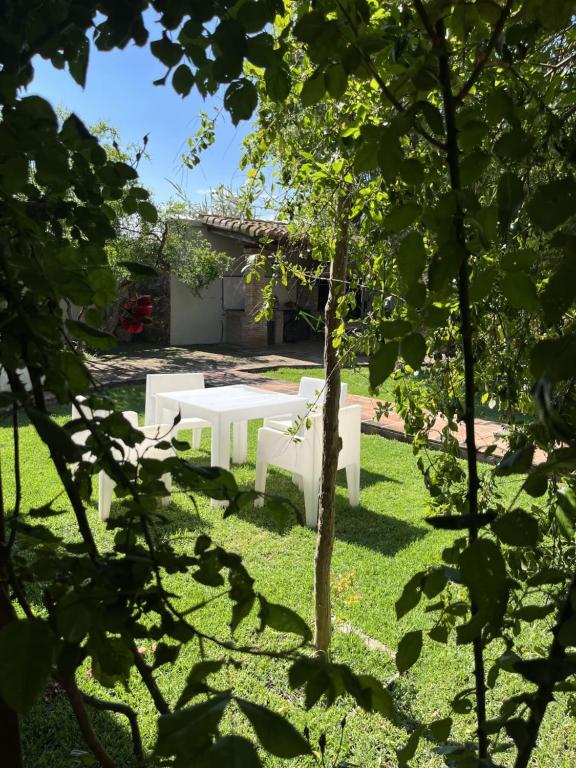 Zahrada ubytování El Secanet