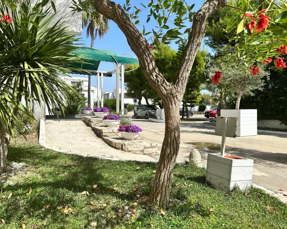 a tree in the middle of a sidewalk with flowers at Hotel Riva Del Sole in Giovinazzo